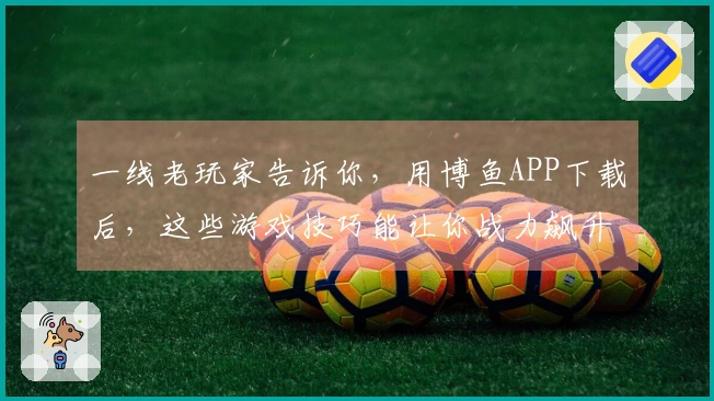 一线老玩家告诉你，用博鱼APP下载后，这些游戏技巧能让你战力飙升！