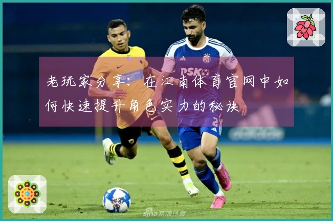 老玩家分享:在江南体育官网中如何快速提升角色实力的秘诀