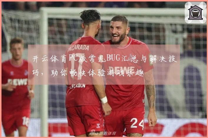 开云体育PC版常见BUG汇总与解决技巧，助你畅快体验游戏乐趣